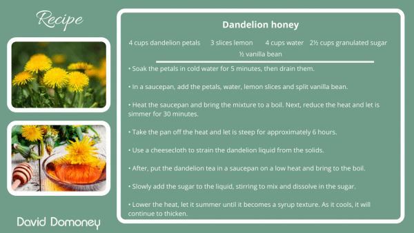 Recipe - Dandelion honey