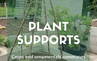Find out more about plant supports - supporting plants