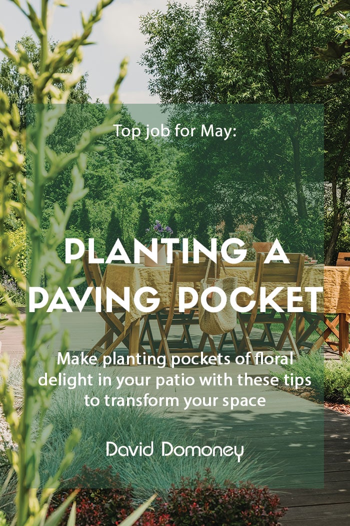 Top job for May - Planting patio pockets