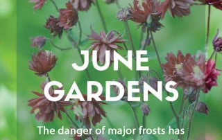 Top ten plants for June gardens