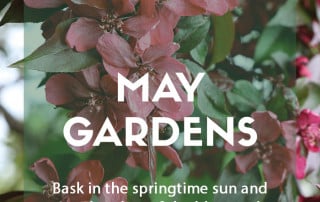 Top ten plants for May gardens 2022