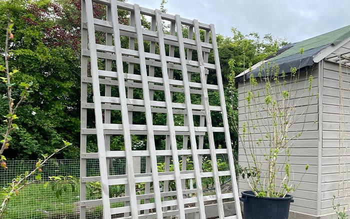 Trellis to support growing plants
