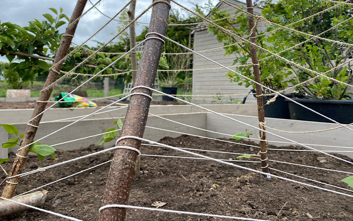 A garden wigwam for supporting plants