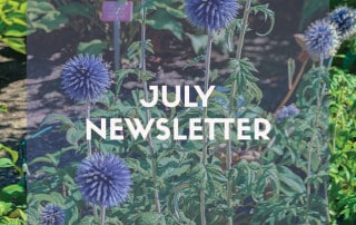July newsletter 2022