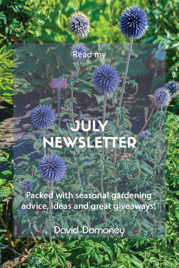 July newsletter 2022