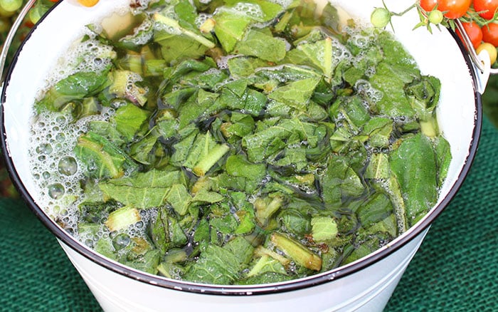 Making comfrey plant food in a bowl