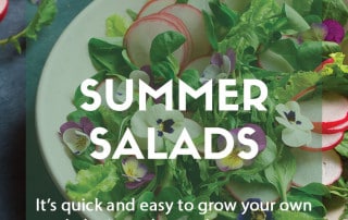 Plants for a purpose - Plants for summer salads