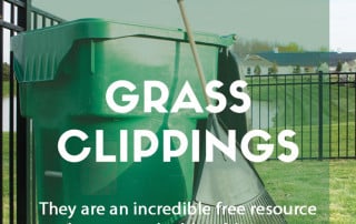 The many uses of grass clippings in the garden