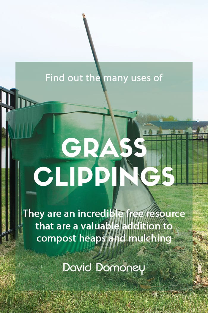 The many uses of grass clippings in the garden