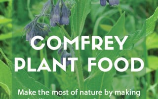Top job for July - Making comfrey plant food