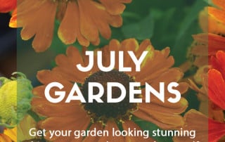 Top ten plants for July gardens