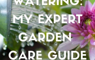 Expert care guide to watering your garden