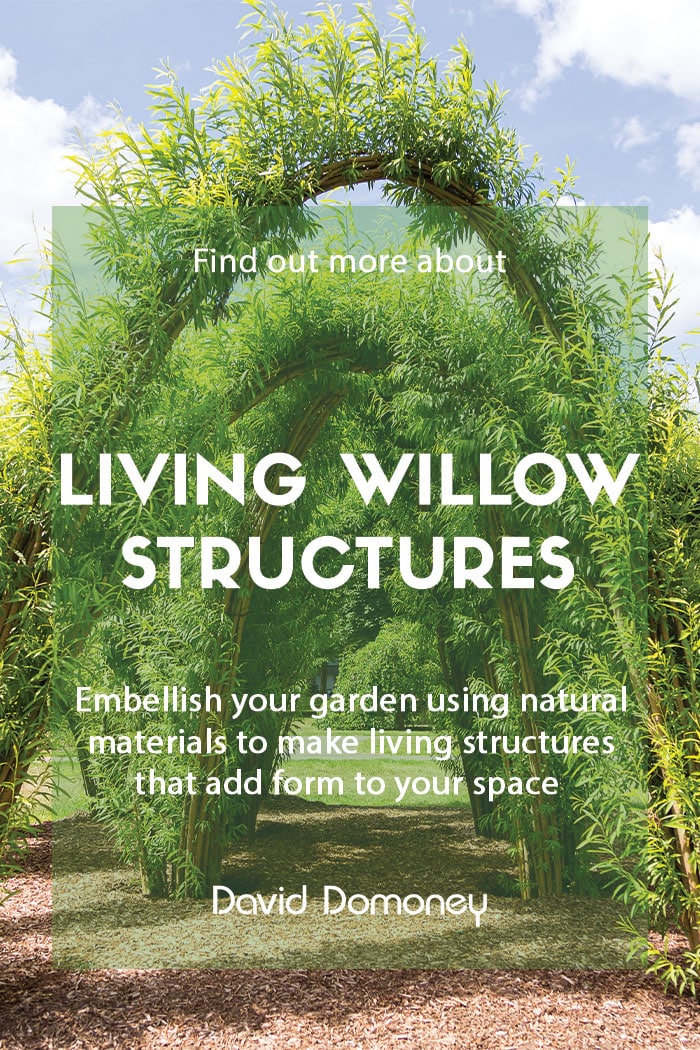 Living willow structures in the garden