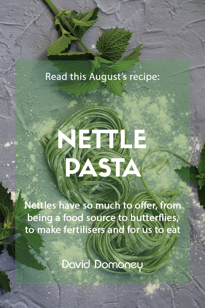 Recipe August Nettle pasta