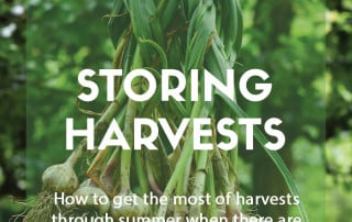 Storing summer crops after harvesting