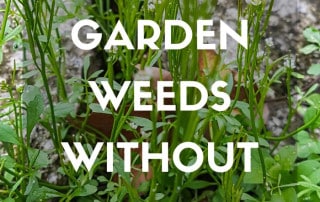 Controlling weeds feature