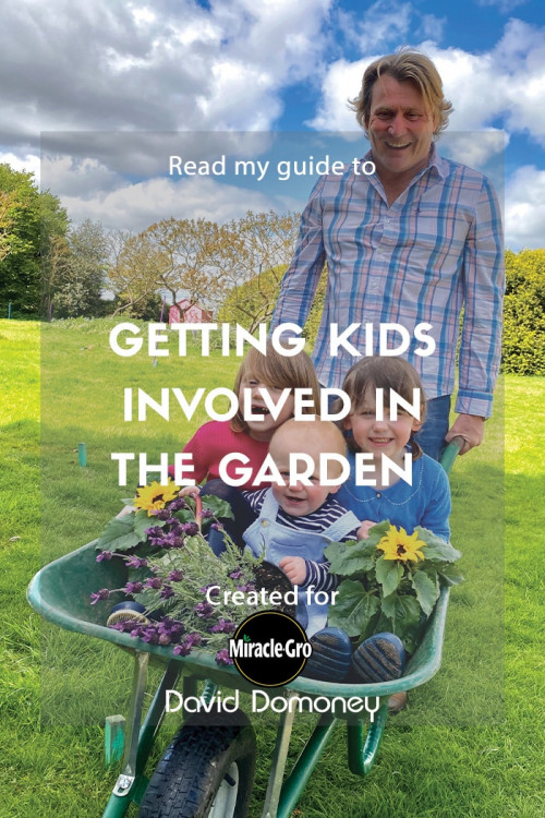 getting kids involved in the garden - feature image