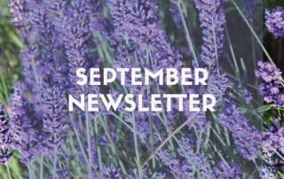 September newsletter website feature