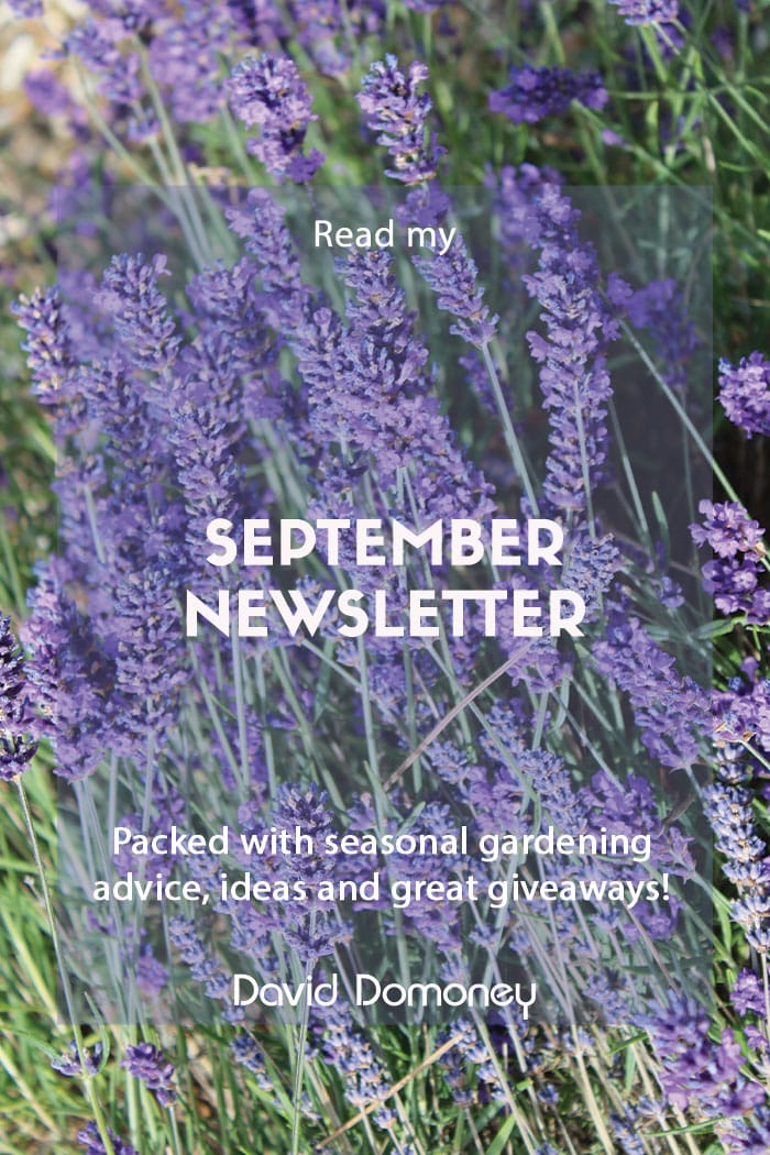 September newsletter website feature