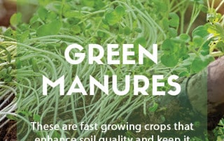 Green manure feature
