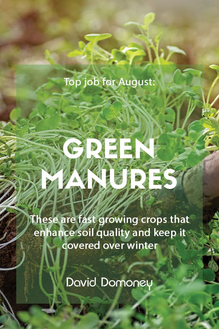 Green manure feature