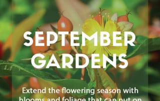 Top ten plants for September