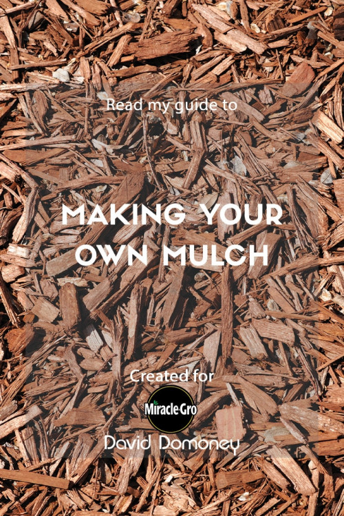 Making your own mulch feature image