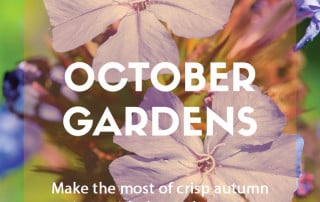 Top ten plants for October gardens