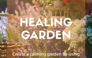 healing garden feature image