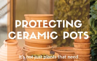 Top job for November - Protecting ceramic pots