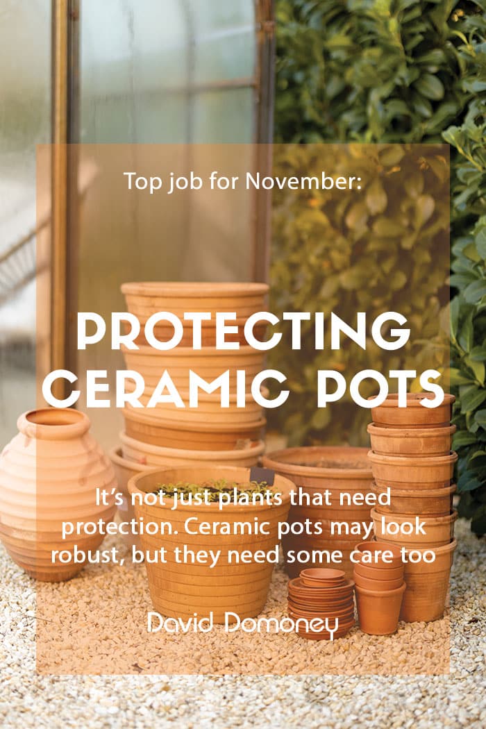 Top job for November - Protecting ceramic pots