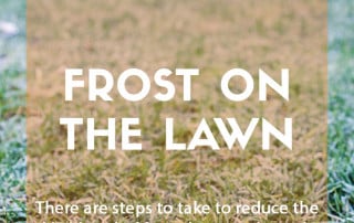 How does frost impact the lawn in the garden