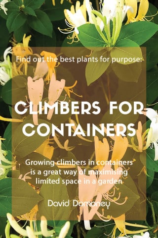 P4P November 2024 climbers for containers