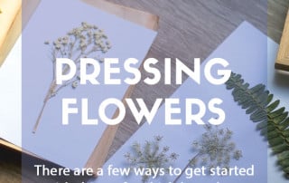 A guide to pressing flowers crafting