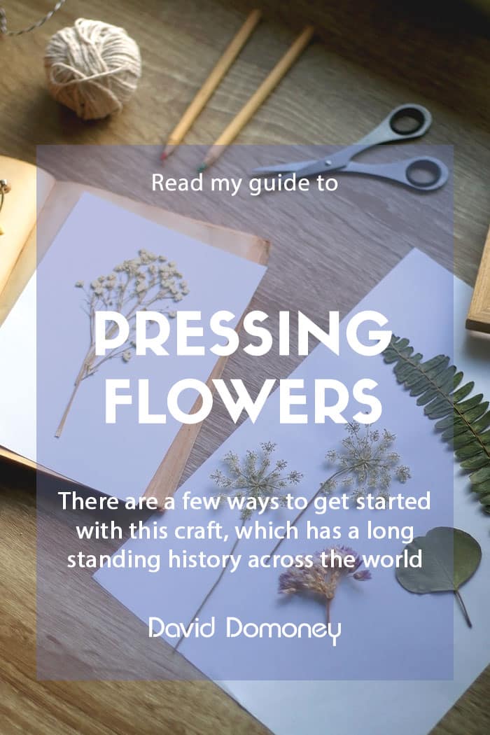 A guide to pressing flowers crafting
