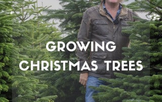 Growing Christmas trees with David Domoney and Needlefresh