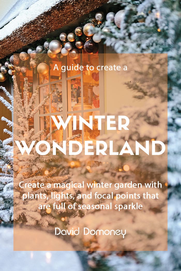 Winter wonderland style garden