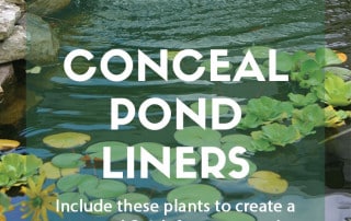 A guide on how to conceal pond liners