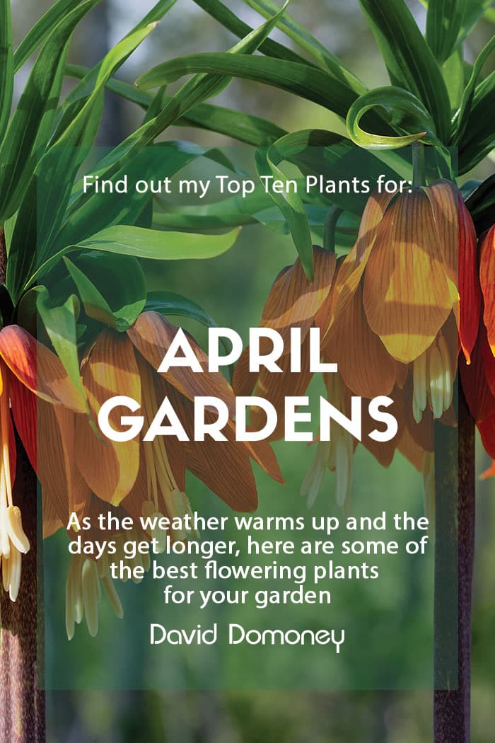 Plants  April-1 2023 - Browse Articles