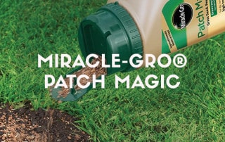 Win Miracle-Gro Patch Magic