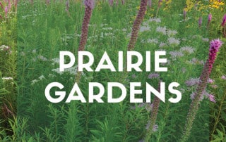 Prairie gardens