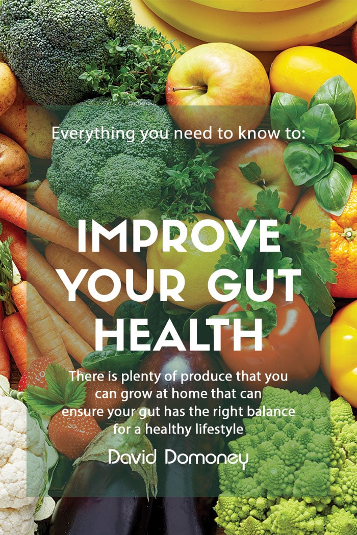 Growing your own produce to improve your gut health feature image.