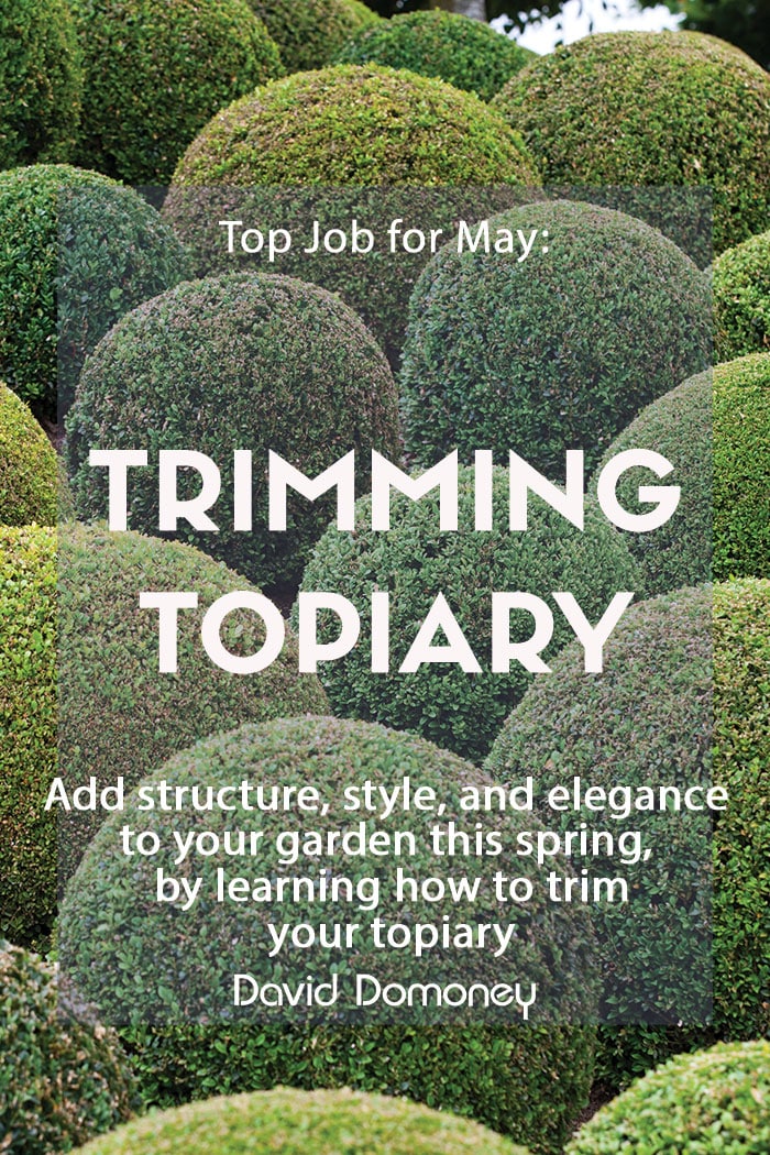 Trimming Topiary - Feature Image