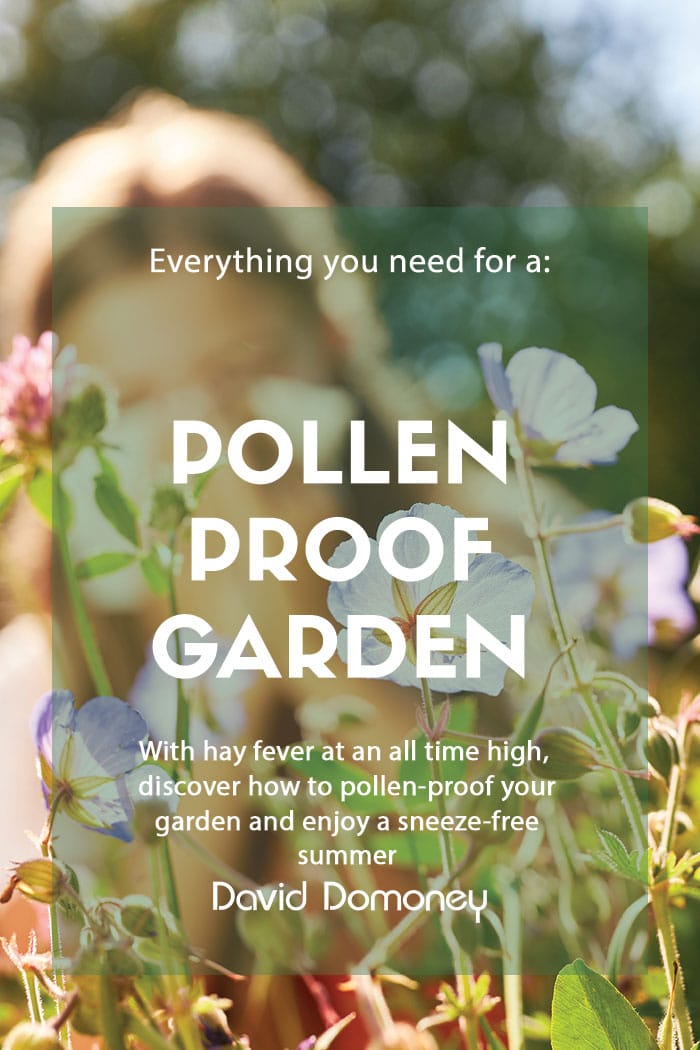 How to pollen proof your garden - feature image
