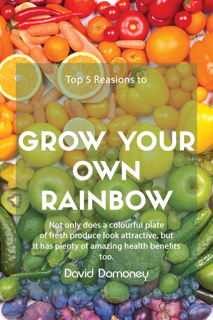Grow your own rainbow at home feature blog