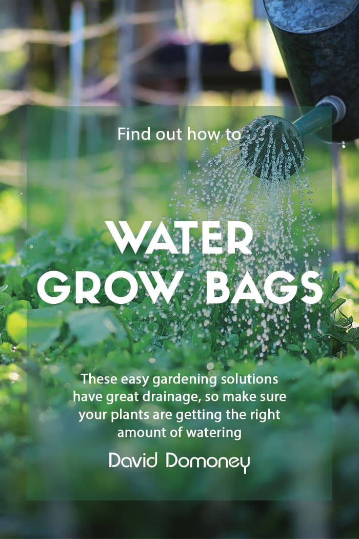 Start a Grow Bag Garden and Water It EASILY 