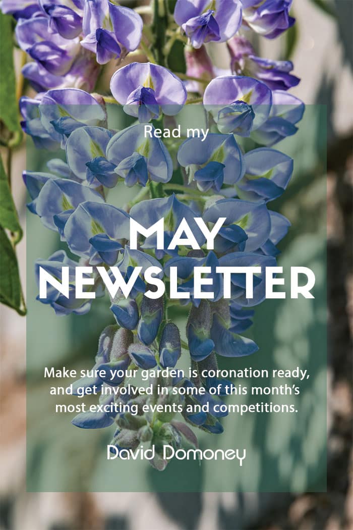 May 2023 feature Newsletter