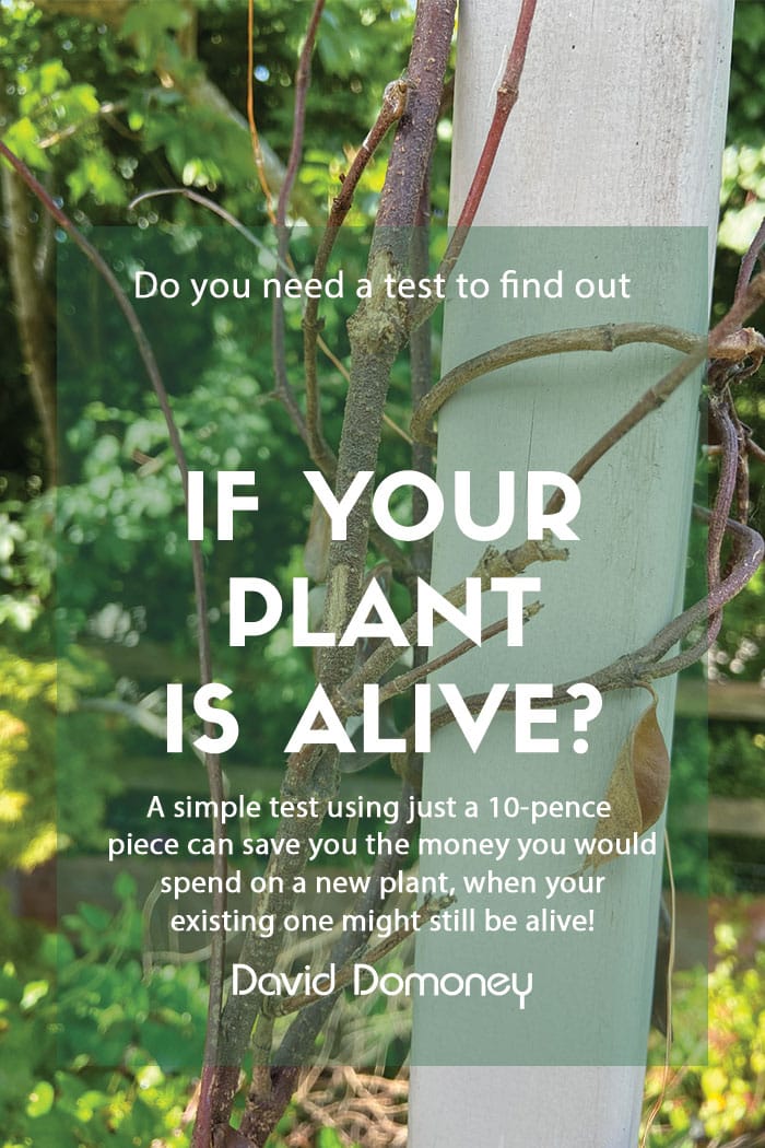 Is you plant alive feature