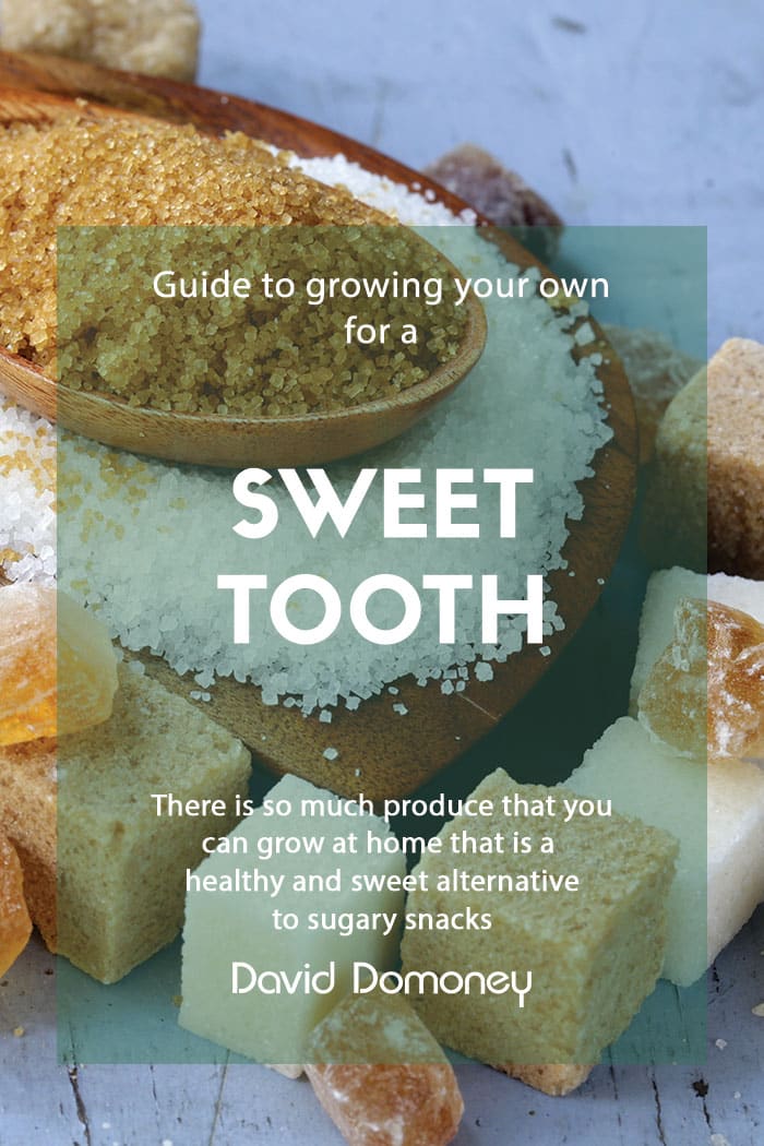 Sweet tooth feature image