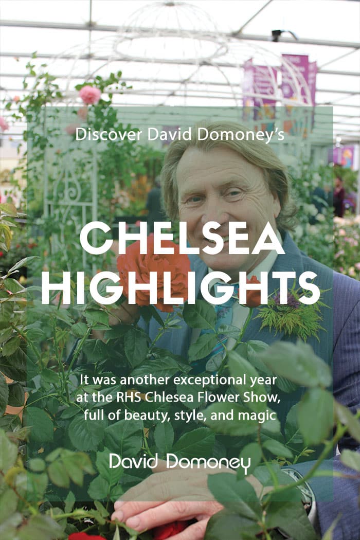 David Domoney's Chelsea flower show highlights 2023 - feature image